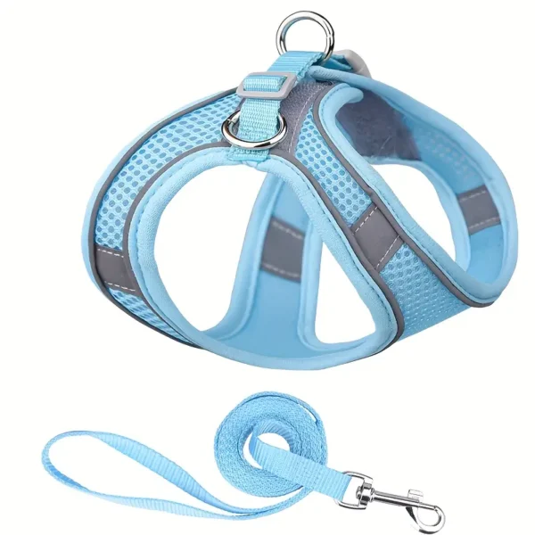 Blue Dog Harness Set