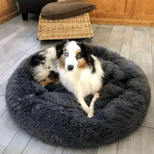 Dog Donut Bed - Dark Grey